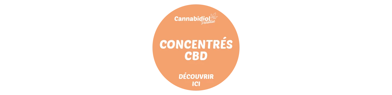 Concentrés CBD GoldenBuds | 60% CBD et plus | Cannabidiol Paradise