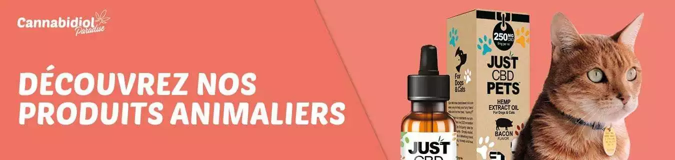 Acheter huiles pour animaux CBD | Cannabidiol Paradise - CBD Shop