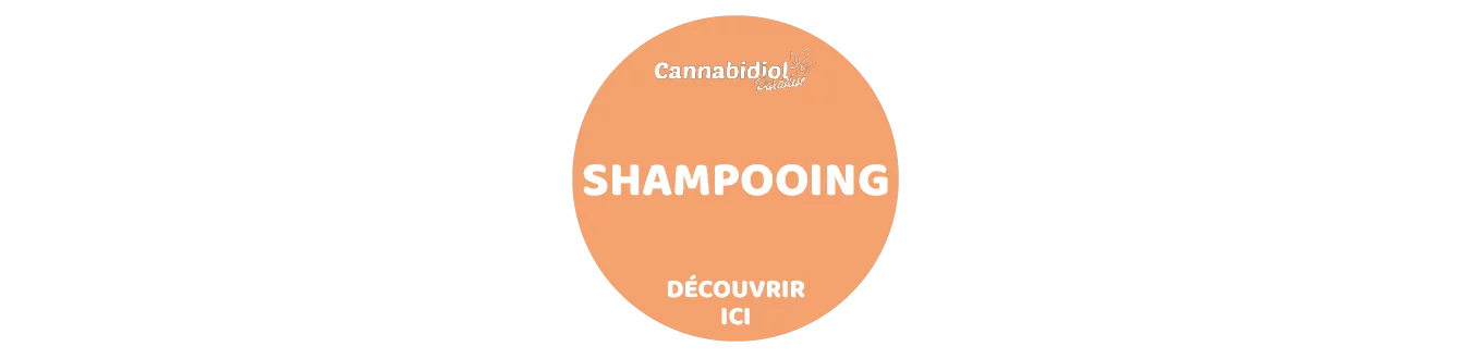 Shampooings CBD | Cannabidiol Paradise