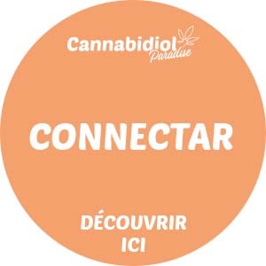 Promo connectar