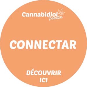 Promo Connectar