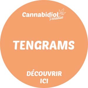 Promo Tengrams