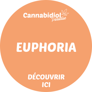 Promo Euphoria