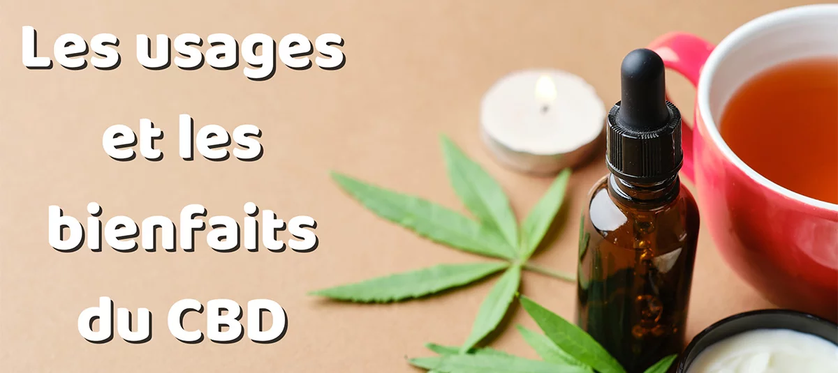 Les usages et les bienfaits du CBD_2.jpg
