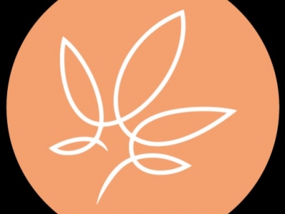 Tout savoir sur le CBD