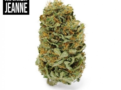 Comment savoir si l’on consomme une fleur CBD de qualité ?