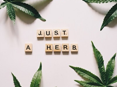Le CBD et la cuisine