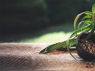 Y a-t-il des risques à consommer du CBD ?